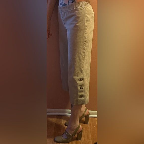 Isaac Mizrahi Live Capri Pants - Picture 3 of 14